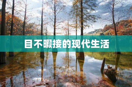 目不暇接的现代生活