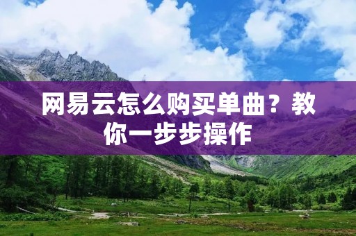 网易云怎么购买单曲?教你一步步操作 网易云怎么购买单曲?教你一步步操作