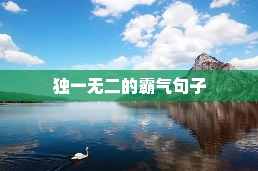 独一无二的霸气句子 独一无二的霸气句子