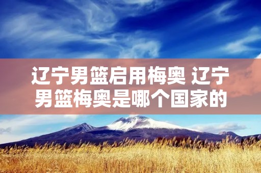 辽宁男篮启用梅奥 辽宁男篮梅奥是哪个国家的