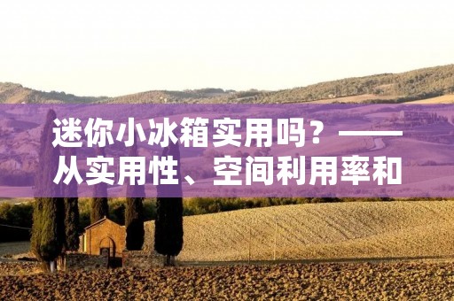 迷你小冰箱实用吗？——从实用性、空间利用率和能耗三个方面分析