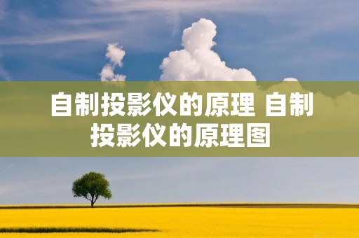 自制投影仪的原理 自制投影仪的原理图 自制投影仪的原理 自制投影仪的原理图