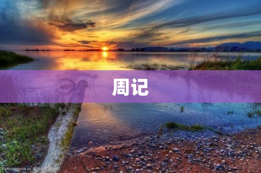 周记：记录我生活中的趣事