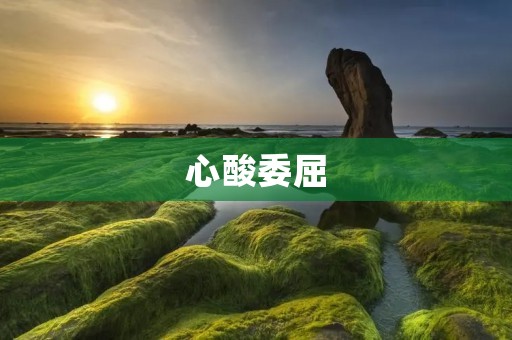 心酸委屈:自己扛的重担