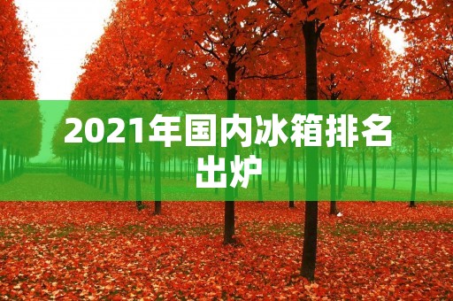 2021年国内冰箱排名出炉：哪些品牌获得了消费者的青睐？