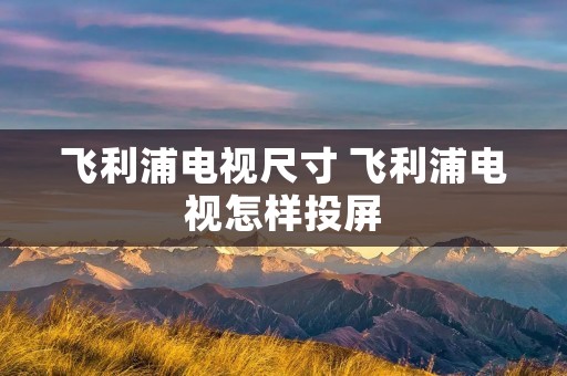 飞利浦电视尺寸 飞利浦电视怎样投屏 飞利浦电视尺寸 飞利浦电视怎样投屏