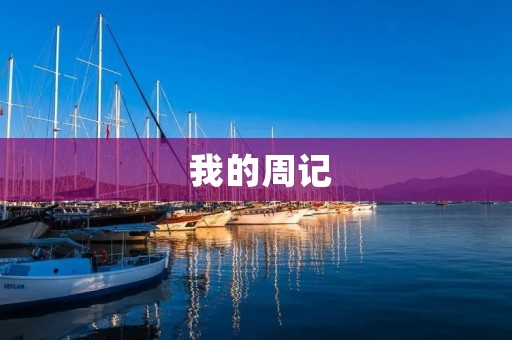 我的周记 我的周记