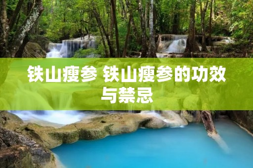 铁山瘦参 铁山瘦参的功效与禁忌