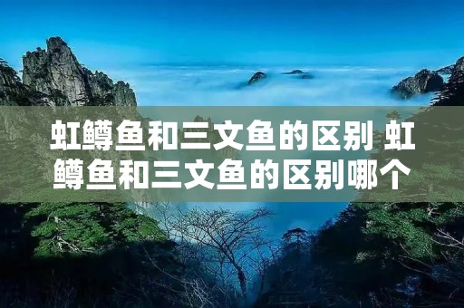 虹鳟鱼和三文鱼的区别 虹鳟鱼和三文鱼的区别哪个贵 虹鳟鱼和三文鱼的区别 虹鳟鱼和三文鱼的区别哪个贵