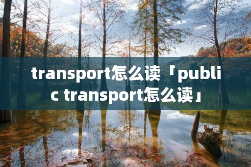 transport怎么读「public transport怎么读」