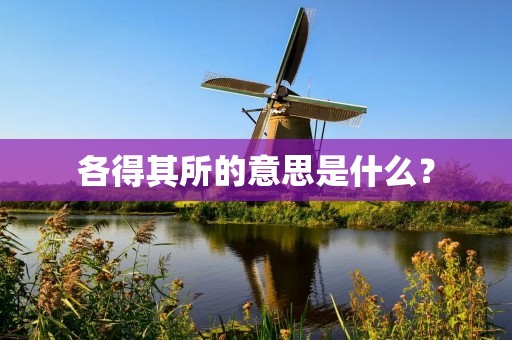 各得其所的意思是什么？