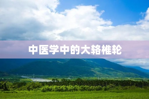 中医学中的大辂椎轮 中医学中的大辂椎轮