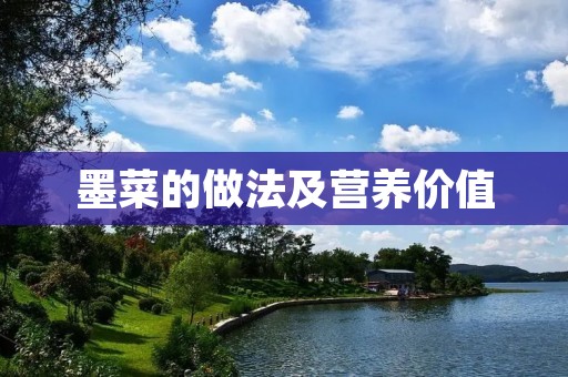 墨菜的做法及营养价值