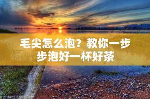 毛尖怎么泡？教你一步步泡好一杯好茶
