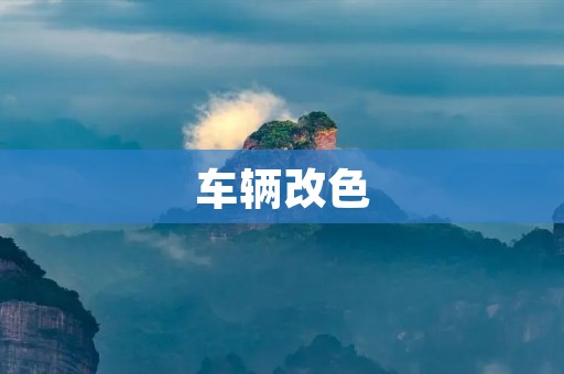 车辆改色：让你的座驾焕然一新