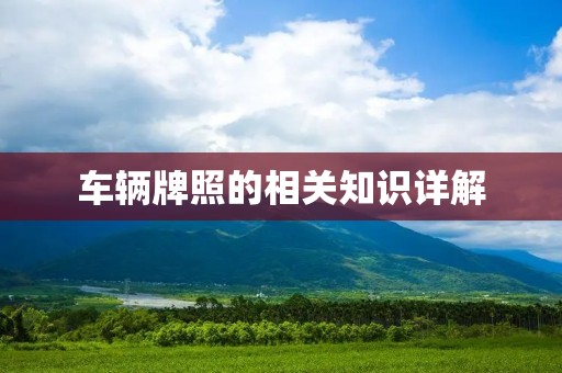 车辆牌照的相关知识详解 车辆牌照的相关知识详解