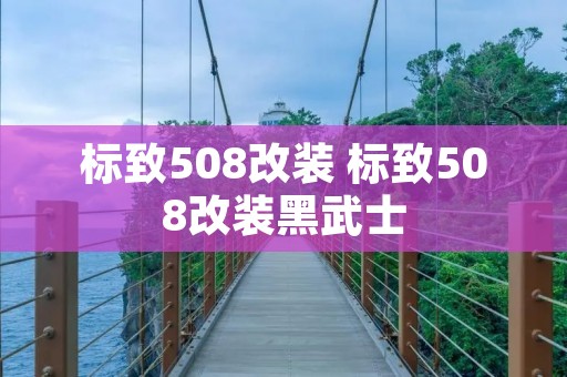 标致508改装 标致508改装黑武士