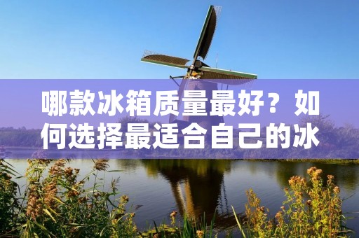 哪款冰箱质量最好？如何选择最适合自己的冰箱？