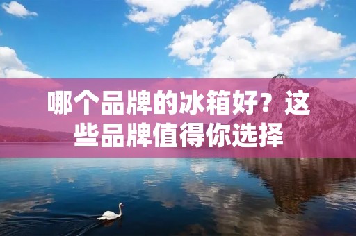 哪个品牌的冰箱好？这些品牌值得你选择