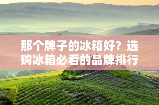 那个牌子的冰箱好？选购冰箱必看的品牌排行榜