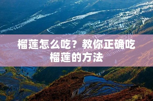 榴莲怎么吃?教你正确吃榴莲的方法 榴莲怎么吃?教你正确吃榴莲的方法