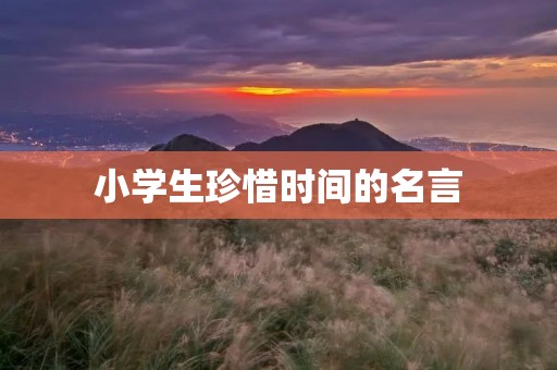 小学生珍惜时间的名言 小学生珍惜时间的名言