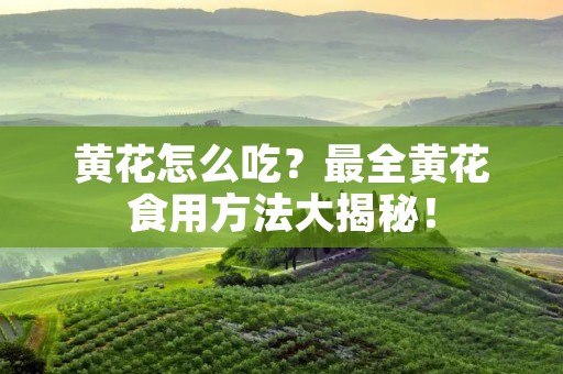 黄花怎么吃?最全黄花食用方法大揭秘! 黄花怎么吃?最全黄花食用方法大揭秘!