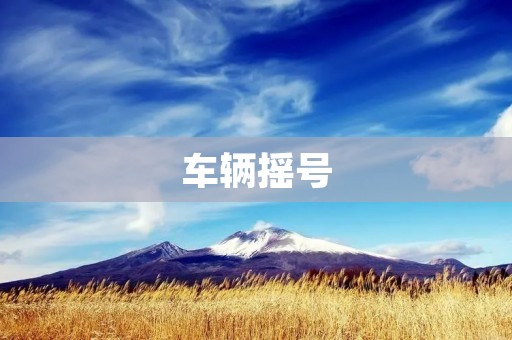 车辆摇号：限制车辆数量，缓解城市交通压力
