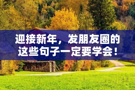 迎接新年,发朋友圈的这些句子一定要学会!