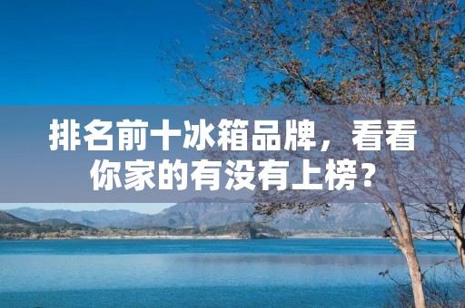 排名前十冰箱品牌，看看你家的有没有上榜？