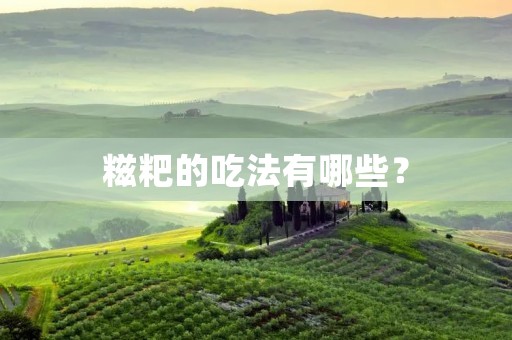 糍粑的吃法有哪些? 糍粑的吃法有哪些?