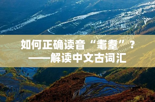 如何正确读音“耄耋”？——解读中文古词汇