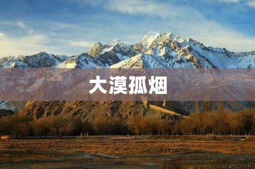 大漠孤烟：神秘而壮美的荒漠之旅