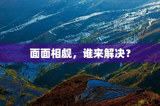 面面相觑，谁来解决？