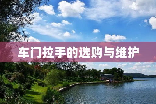 车门拉手的选购与维护 车门拉手的选购与维护