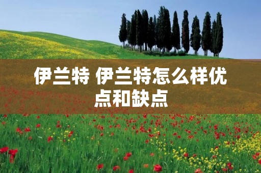 伊兰特 伊兰特怎么样优点和缺点