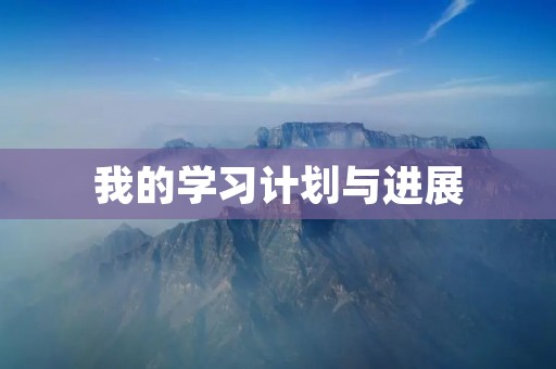 我的学习计划与进展 我的学习计划与进展