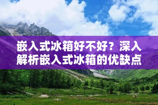 嵌入式冰箱好不好？深入解析嵌入式冰箱的优缺点