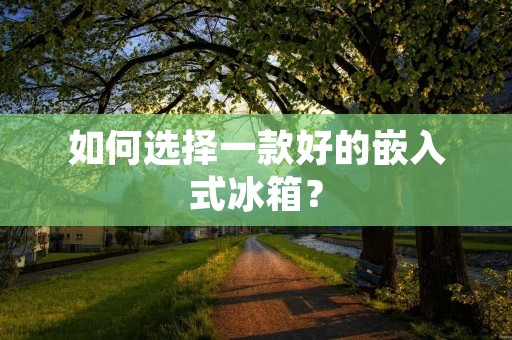 如何选择一款好的嵌入式冰箱？