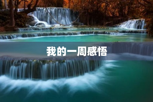 我的一周感悟