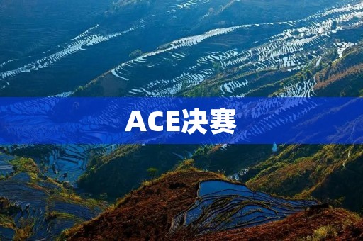 ACE决赛：一场电竞盛宴