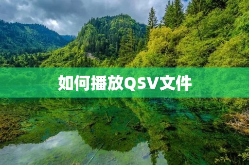 如何播放QSV文件:详细教程 如何播放QSV文件:详细教程