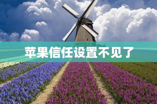 苹果信任设置不见了:如何解决? 苹果信任设置不见了:如何解决?