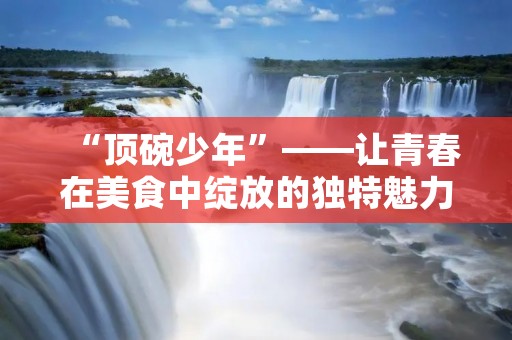 “顶碗少年”——让青春在美食中绽放的独特魅力 “顶碗少年”——让青春在美食中绽放的独特魅力