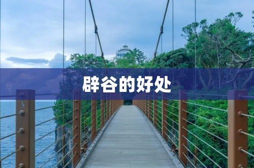辟谷的好处:重获健康的奥秘 辟谷的好处:重获健康的奥秘