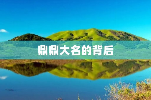 鼎鼎大名的背后：探究成功背后的秘密