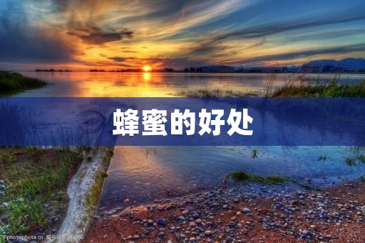 蜂蜜的好处:天然美容养生佳品 蜂蜜的好处:天然美容养生佳品