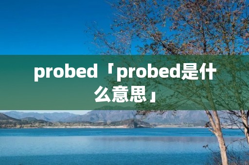 probed「probed是什么意思」 probed「probed是什么意思」