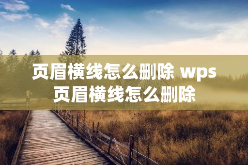 页眉横线怎么删除 wps页眉横线怎么删除 页眉横线怎么删除 wps页眉横线怎么删除