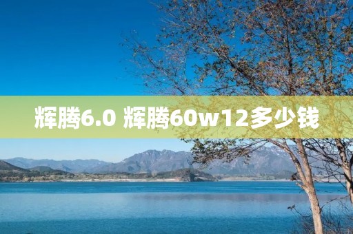 辉腾6.0 辉腾60w12多少钱